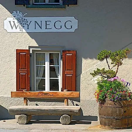 Hotel Wynegg 3*