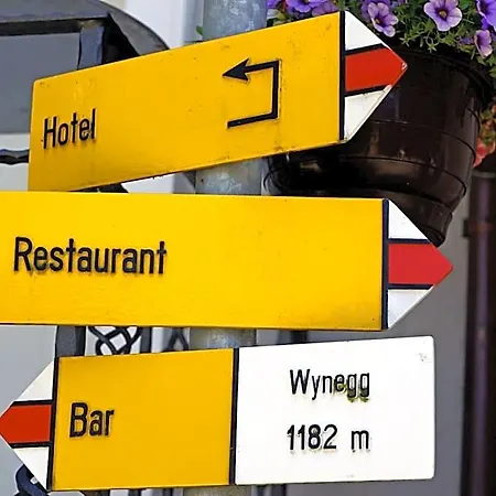 Hotel Wynegg 3*