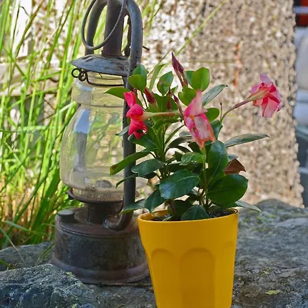 Hotel Wynegg Klosters