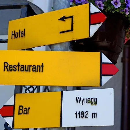 Szálloda Wynegg 3*