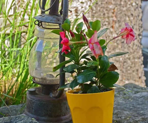 Otel Wynegg Klosters